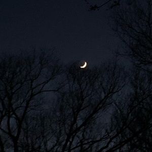 Meet your Posher, Kaylee